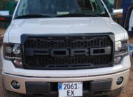 Ford f150 2010