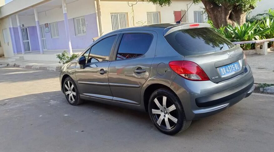 2009 peugeot 207