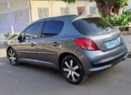 2009 peugeot 207