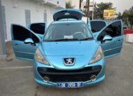 2010 peugeot 207