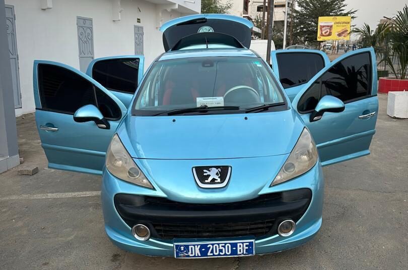 2010 peugeot 207