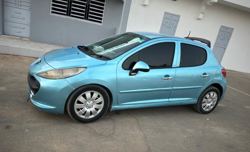 2010 peugeot 207