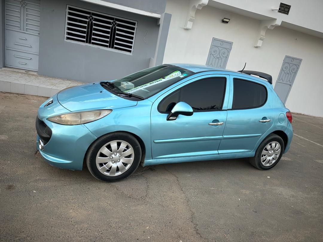 2010 peugeot 207